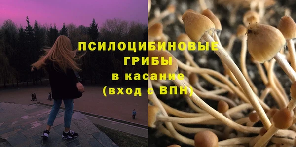 соль курить ск Покровск