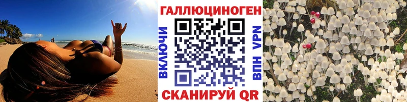 что такое наркотик  Советск  Галлюциногенные грибы прущие грибы 