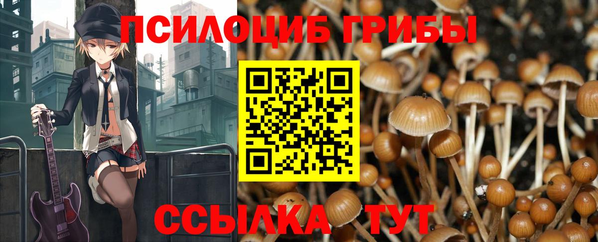 Псилоцибиновые грибы Magic Shrooms Советск